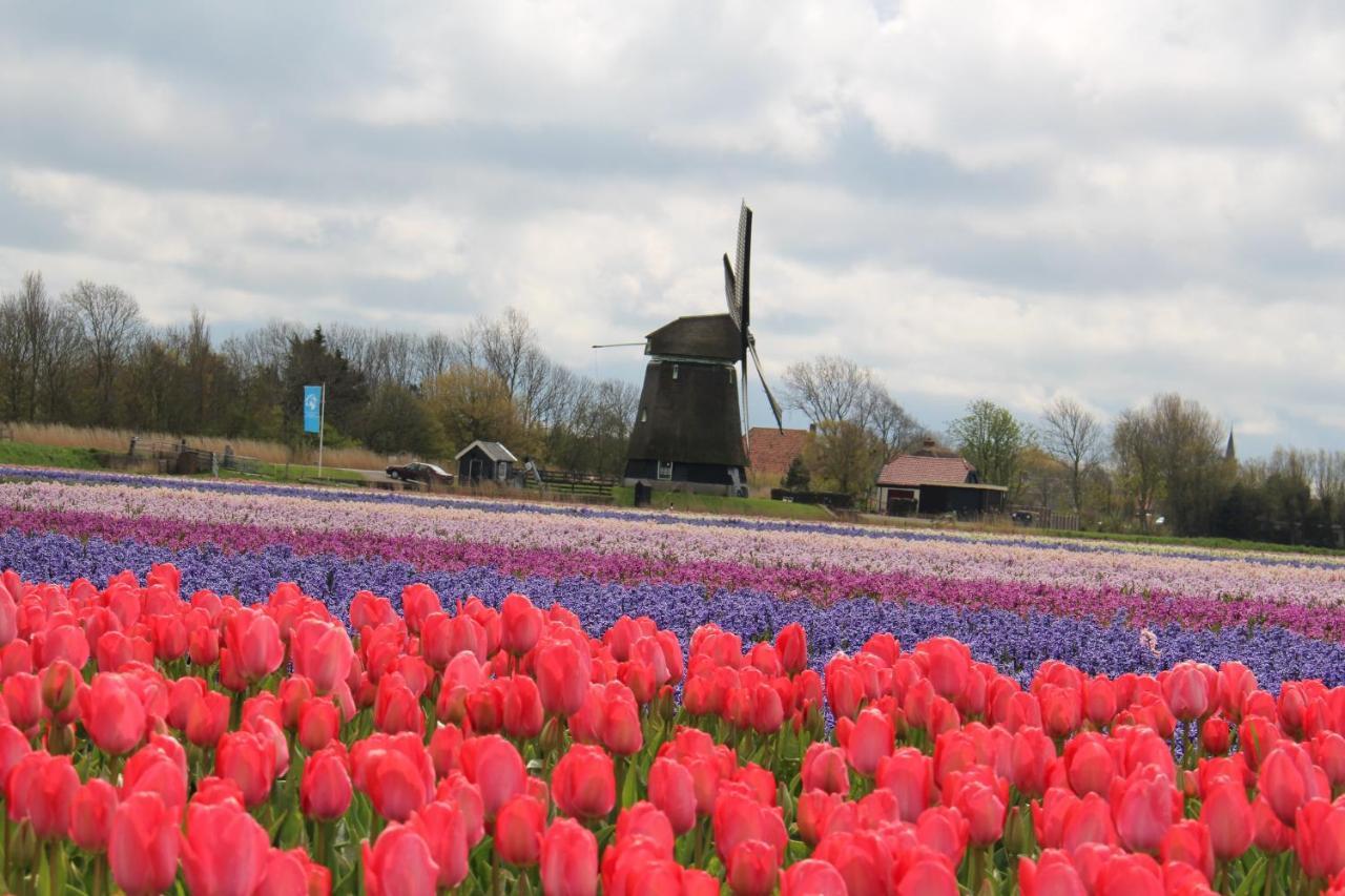 Vogelvrij, Vakantie Woning Met Landelijk Uitzicht En Geheel Omheinde Tuin Burgerbrug Bagian luar foto